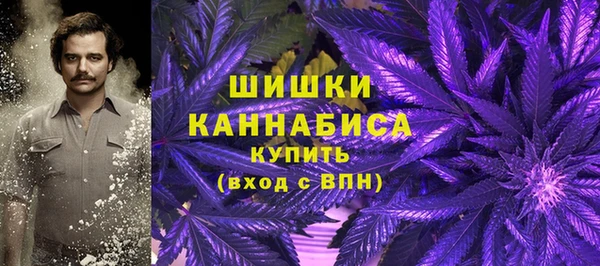 ПСИЛОЦИБИНОВЫЕ ГРИБЫ Абинск
