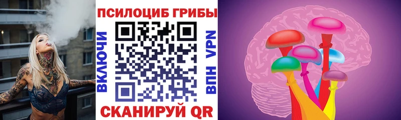 купить закладку  Златоуст  Галлюциногенные грибы Psilocybe 