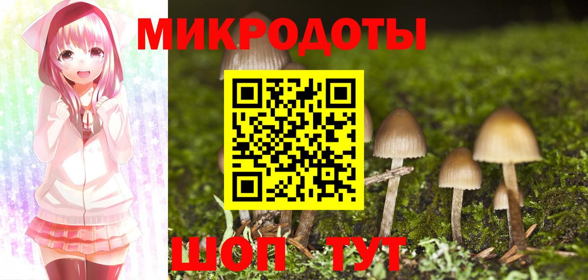 Галлюциногенные грибы Psilocybe Златоуст